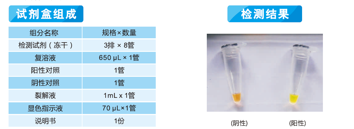 食品中致病菌恒溫擴增熒光法LAMP法···