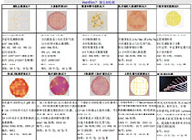 3M快速測試紙片/微生物測試片